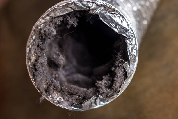 Best Air Duct Cleaning Near Me in Fruitville, FL
