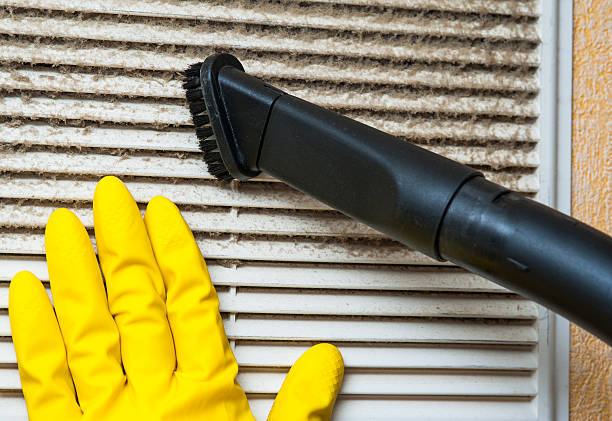 Best Ductwork Cleaning Services  in Fruitville, FL